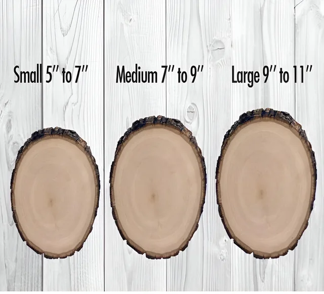 Basswood Rounds · Product photo 5