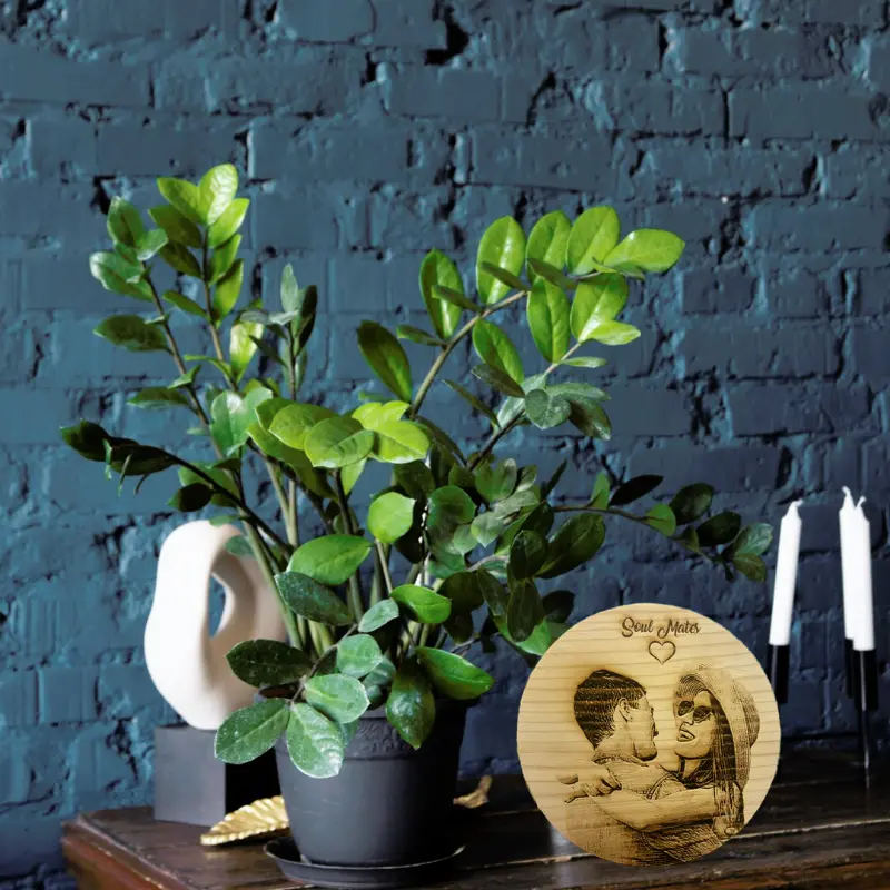 Circle Pine Wood · Personalization example 4